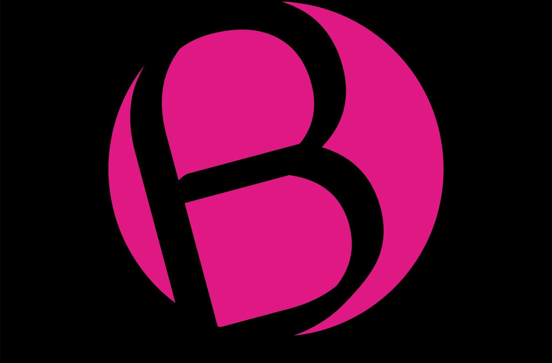 Bondara logo